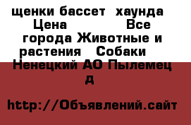 щенки бассет- хаунда › Цена ­ 20 000 - Все города Животные и растения » Собаки   . Ненецкий АО,Пылемец д.